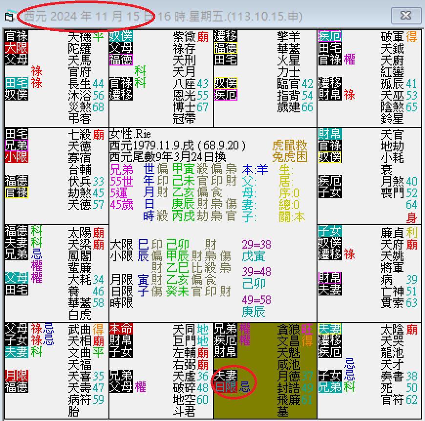 螢幕擷取畫面 2024-11-25 160330.png
